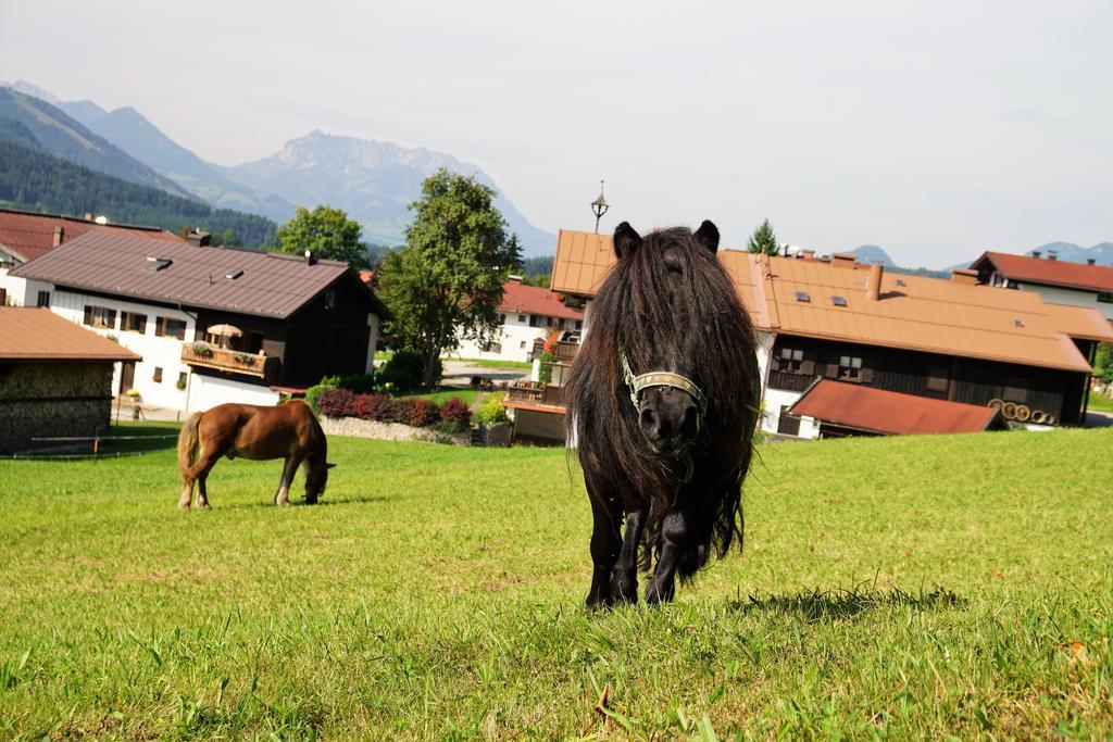 Hotel Haus Zauner Reit im Winkl Zewnętrze zdjęcie